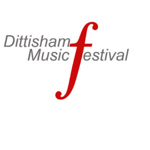 Music Festival Saver Ticket